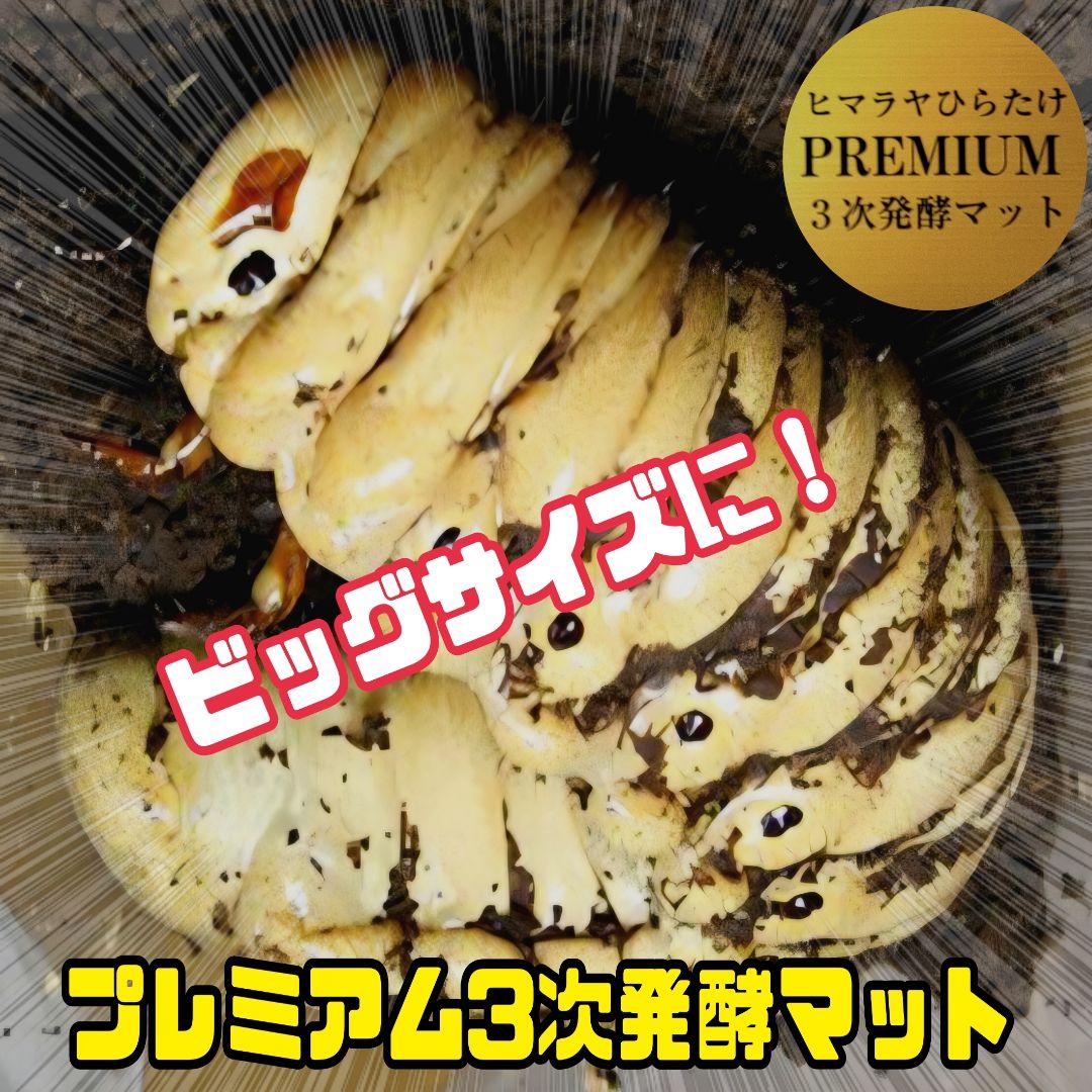 カブトムシ幼虫が巨大化！プレミアム3次発酵マット【70リットル】産卵にも抜群！