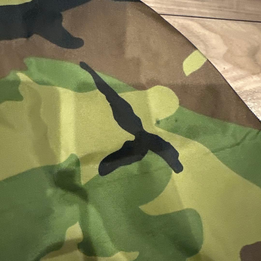 ストライダー　スポーツモデル　12インチ　日本正規品　キャリーバック