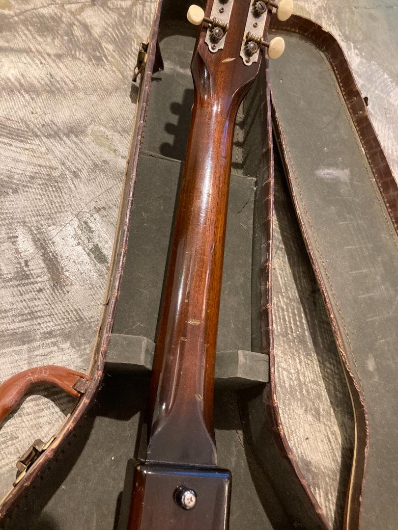 1961 Gibson MelodyMakerハカランダ指板 アリゲーターケース