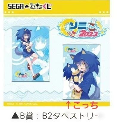 セガ ラッキーくじオンライン A賞 キャンバス タペストリー　他