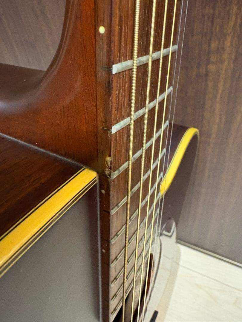 タカミネ　アコースティックギター　NPT-012BS