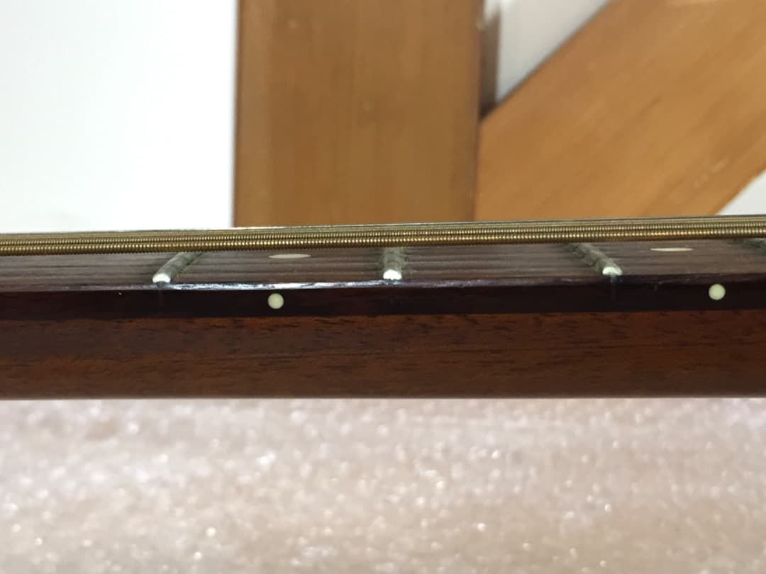 ○Aria Dreadnought アコースティックギター AF-25N ケース