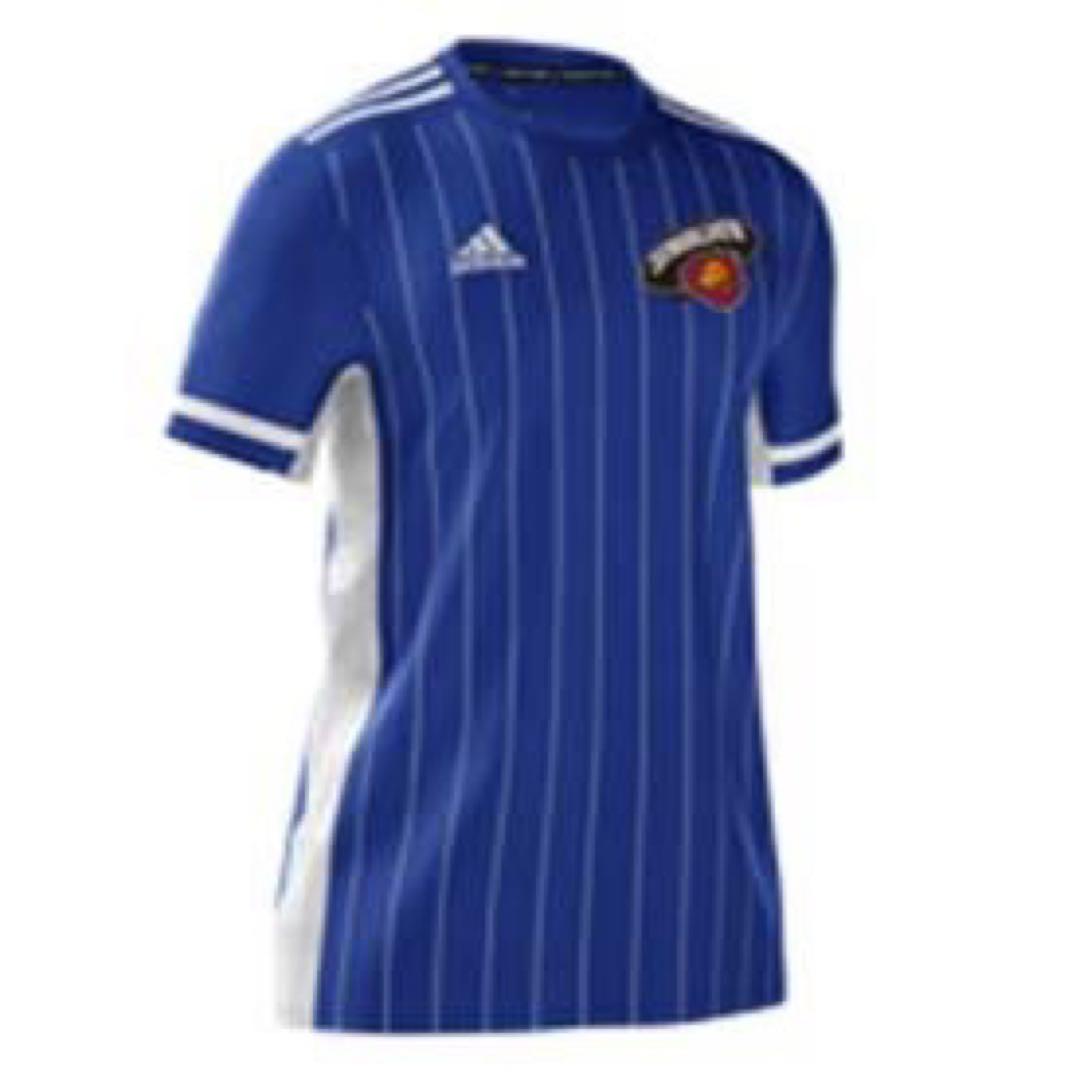 リーグワン　東京サントリーサンゴリアス　新品チームウェア　Tシャツ（値下げ中）