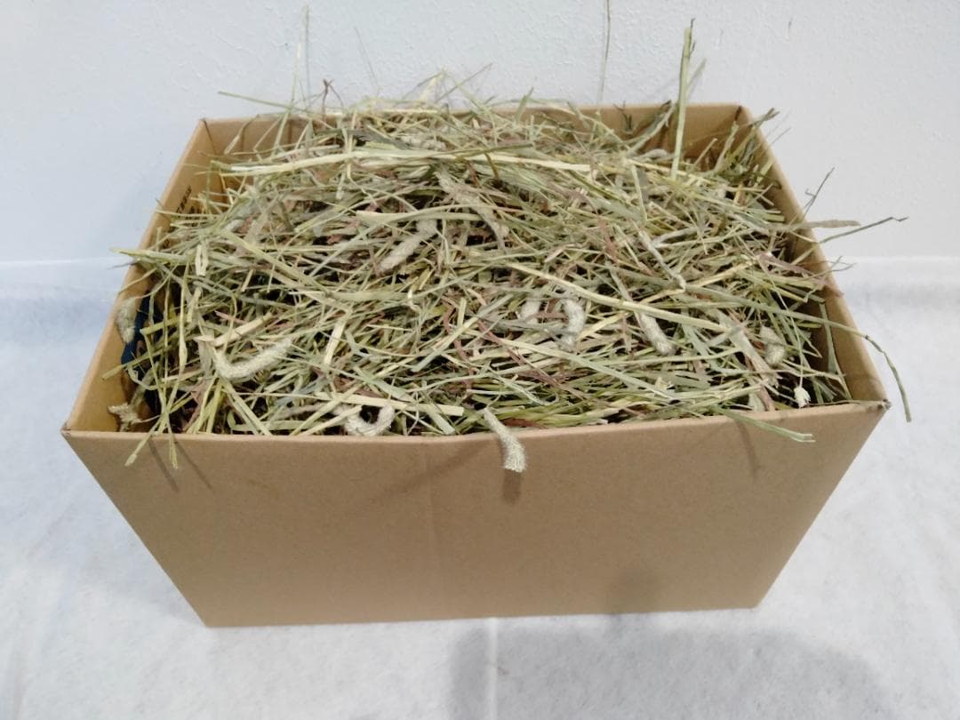 カナダ産 チモシー 50kg スーパープレミアム １番刈り