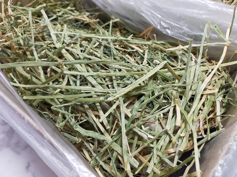 カナダ産 チモシー 50kg スーパープレミアム １番刈り