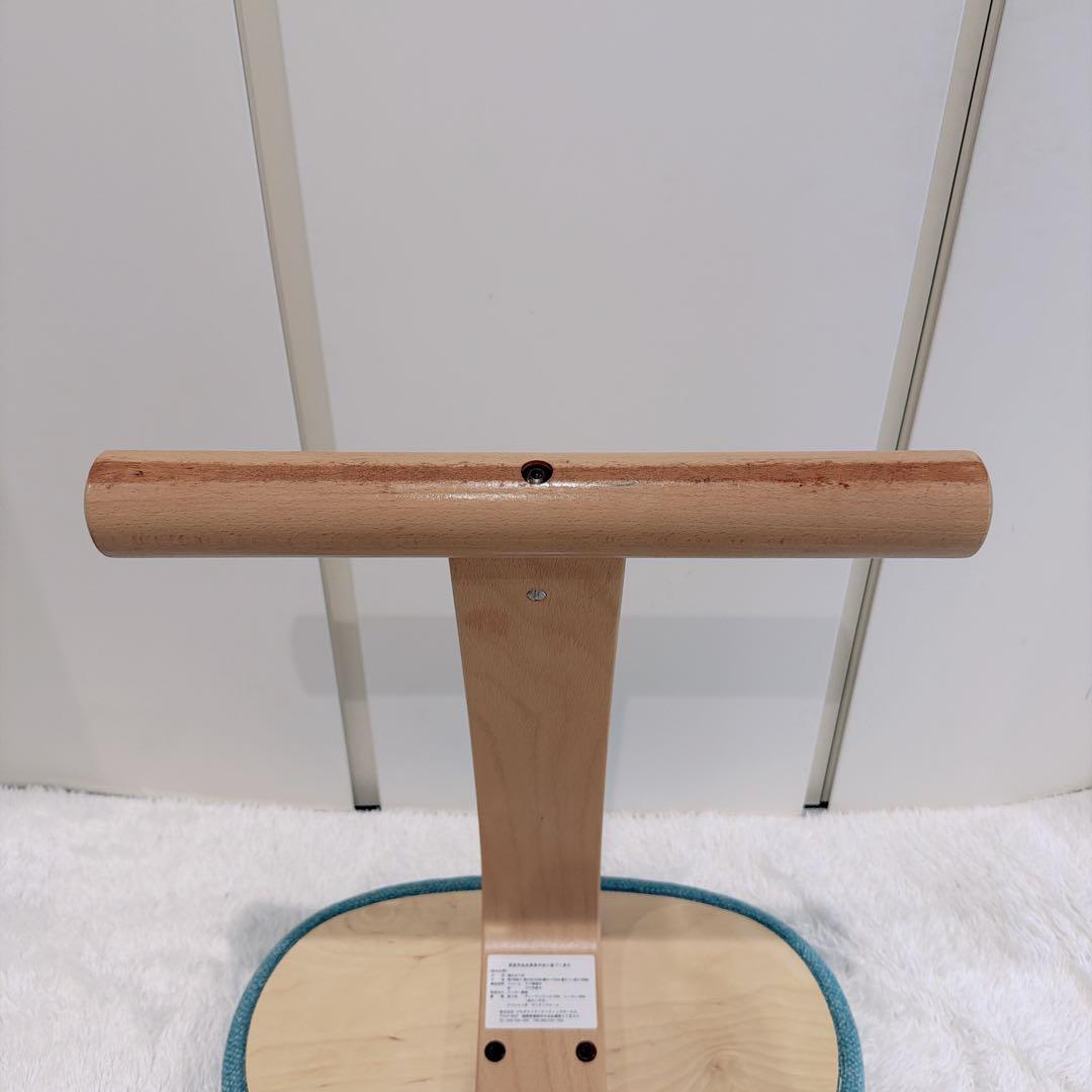 【人気色】Rybo リボ社 バランスイージー チェア 姿勢矯正椅子