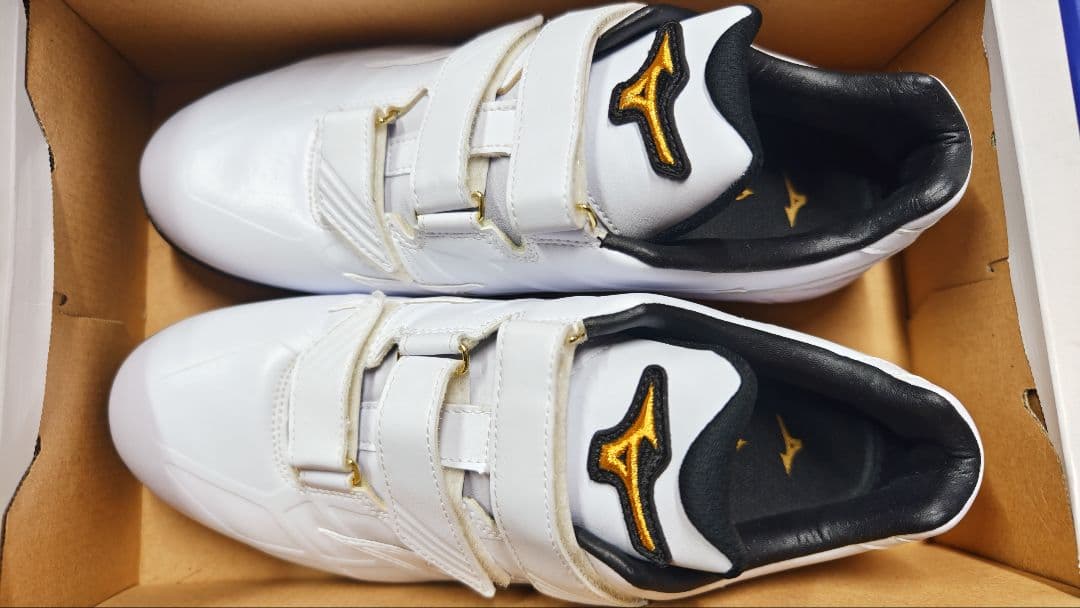 今月限定セール ミズノプロ トレーニングシューズ サイズ28センチ オマケあり