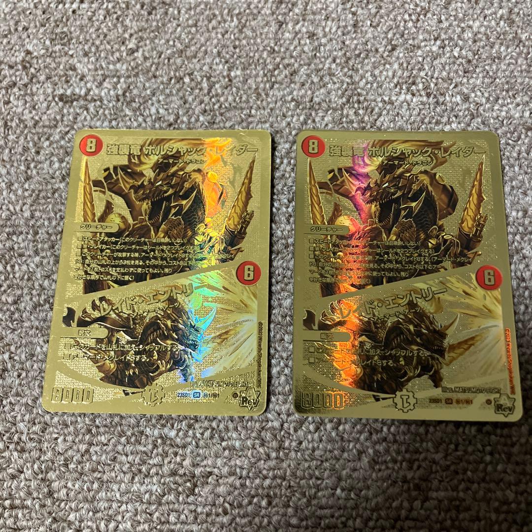 強襲竜 ボルシャック・レイダー/レイド・エントリー シークレット 2枚セット