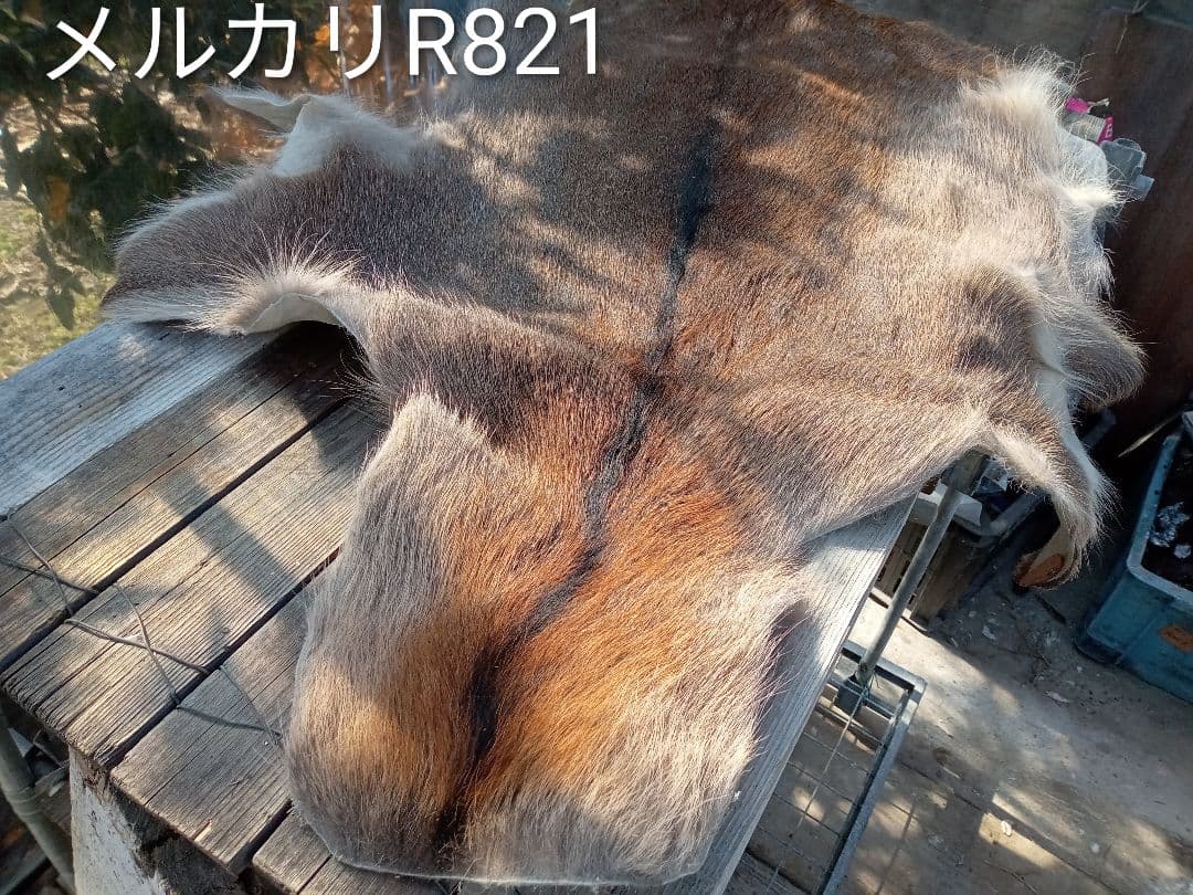天然日本鹿毛皮 ブランケット 自然な毛並み