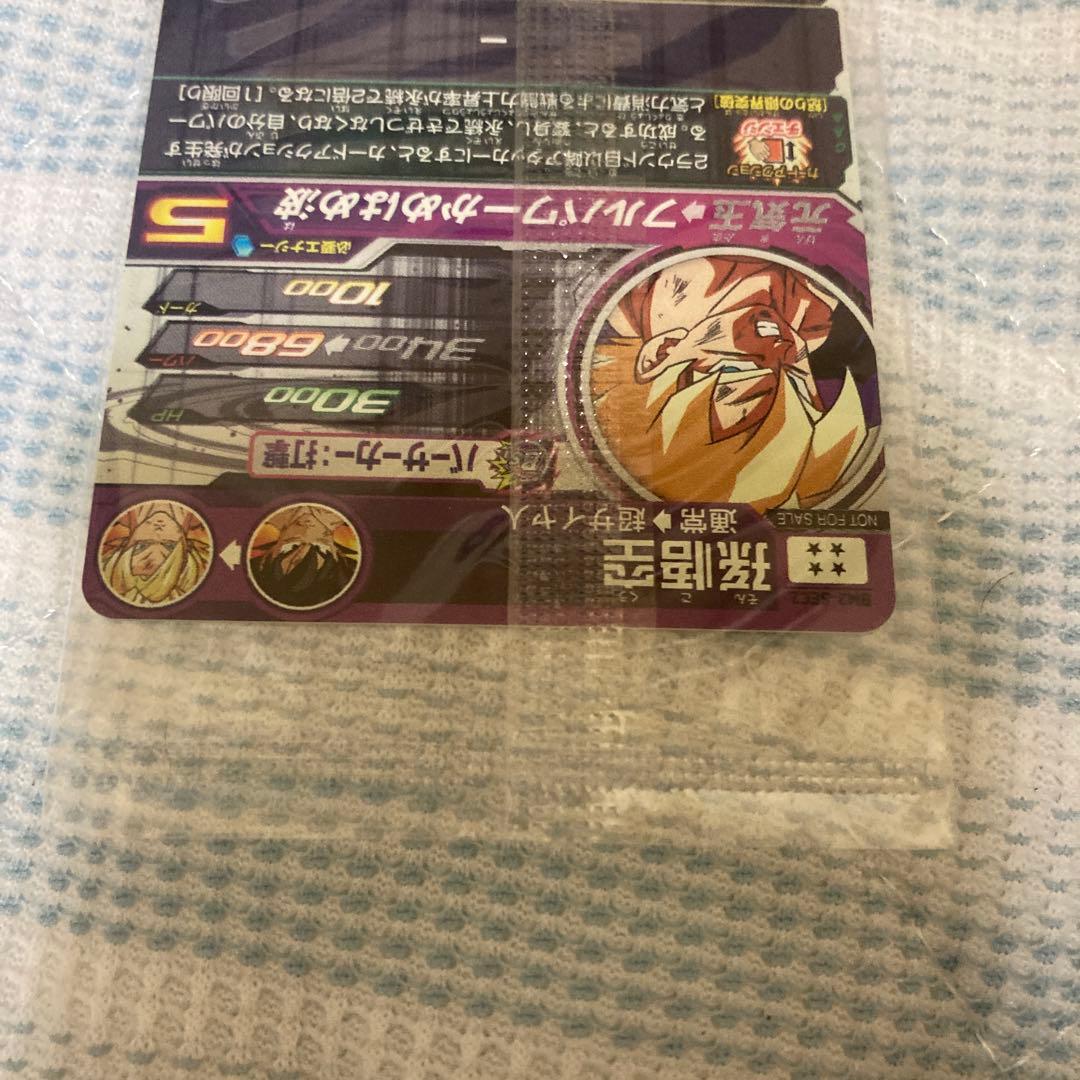 孫悟空BM3-SEC2 パンHG1-49P