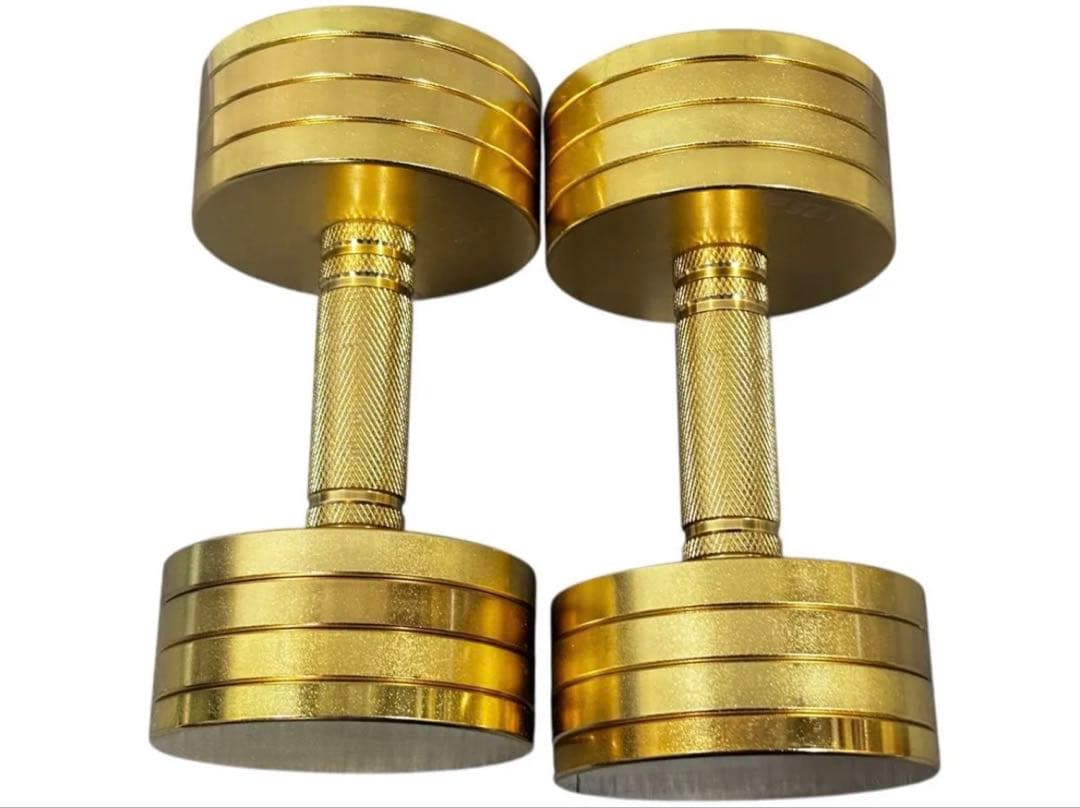 美品 NORTHDEER サンドブラスト版ゴールドアジャスタブルダンベル10kg