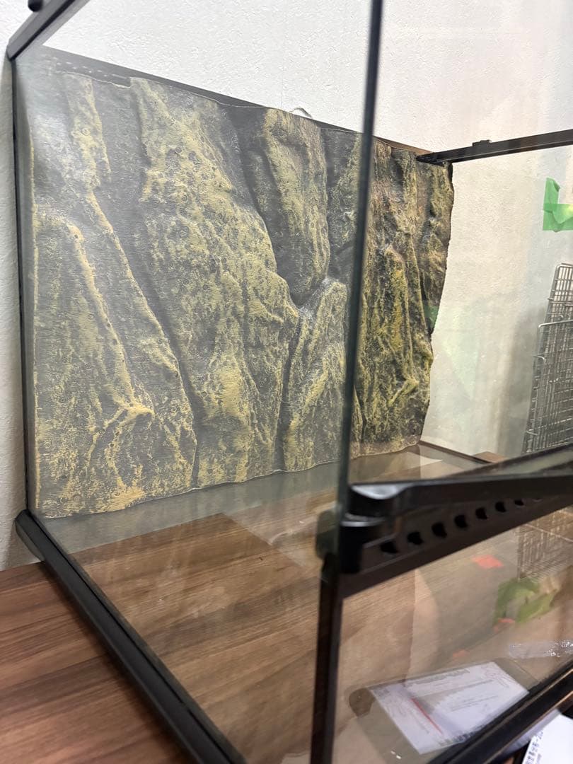 グラステラリウム 6045 GEX 爬虫類　ケージ　60cm 水槽