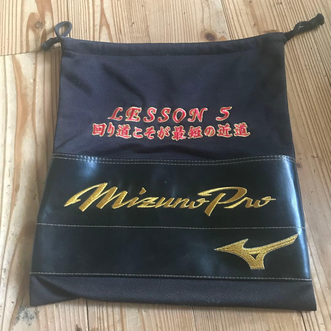 ミズノプロ硬式外野手用グローブ　オーダー