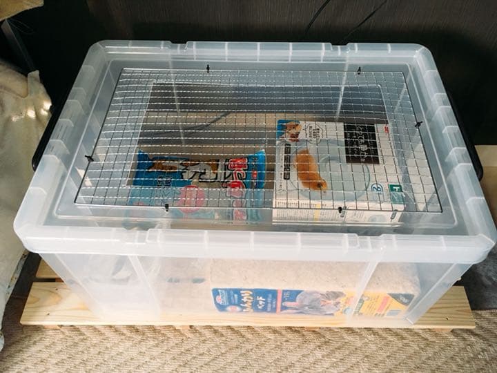 ハムスタースターターキット