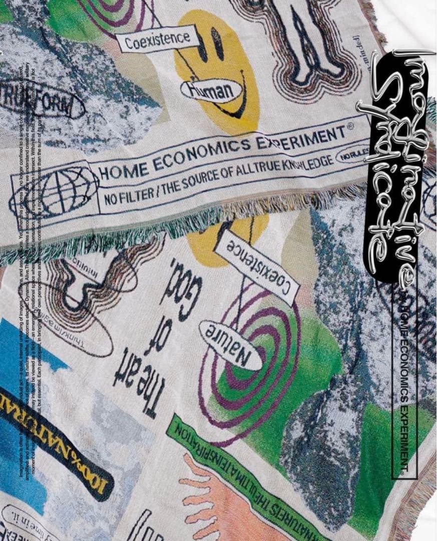  ECONOMICS EXPERIMENT ラグ　マット