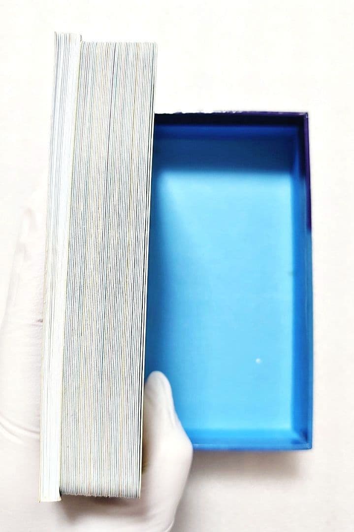 ロマンスエンジェルオラクルカード マーメイド&ドルフィンオラクルカード セット