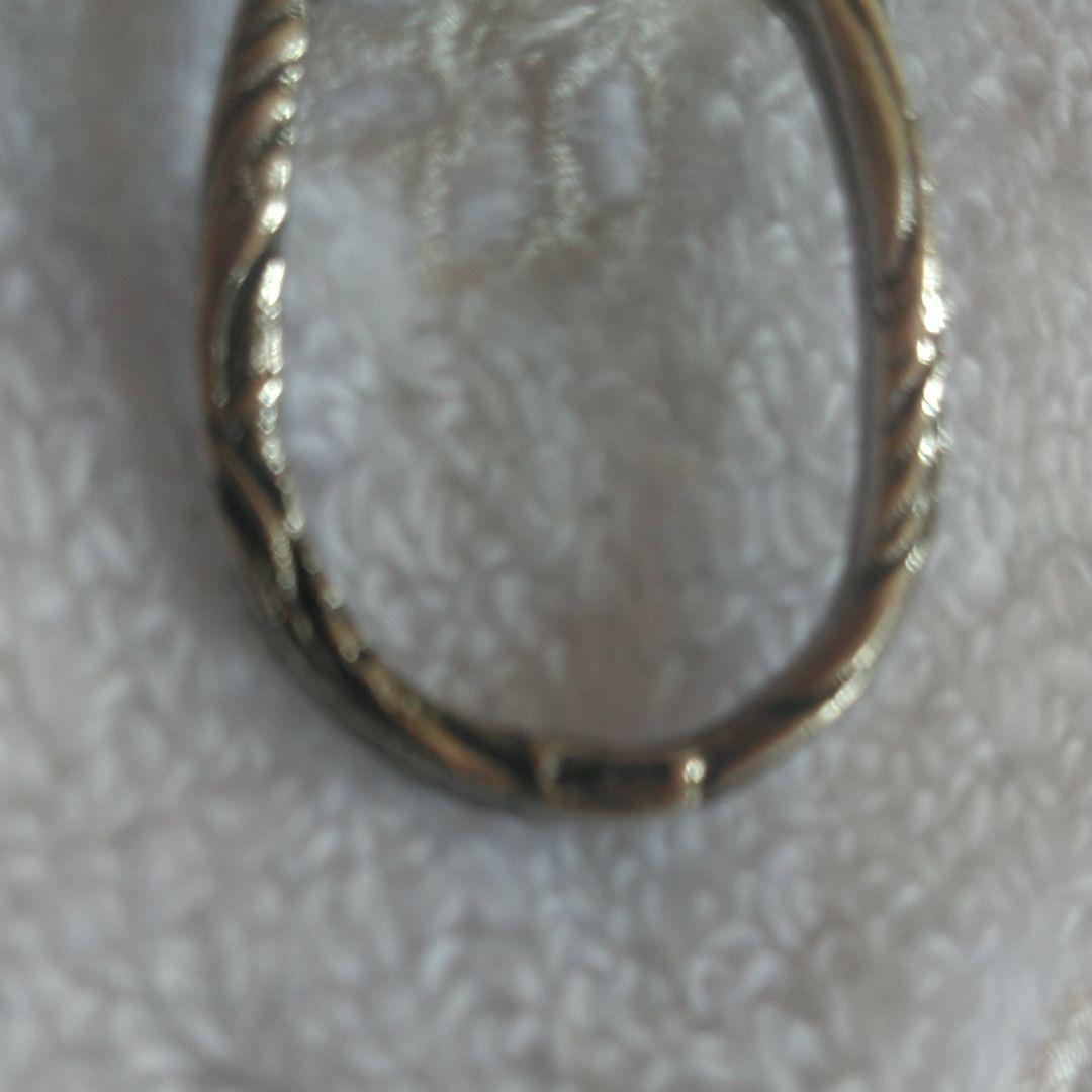 ペストリートング