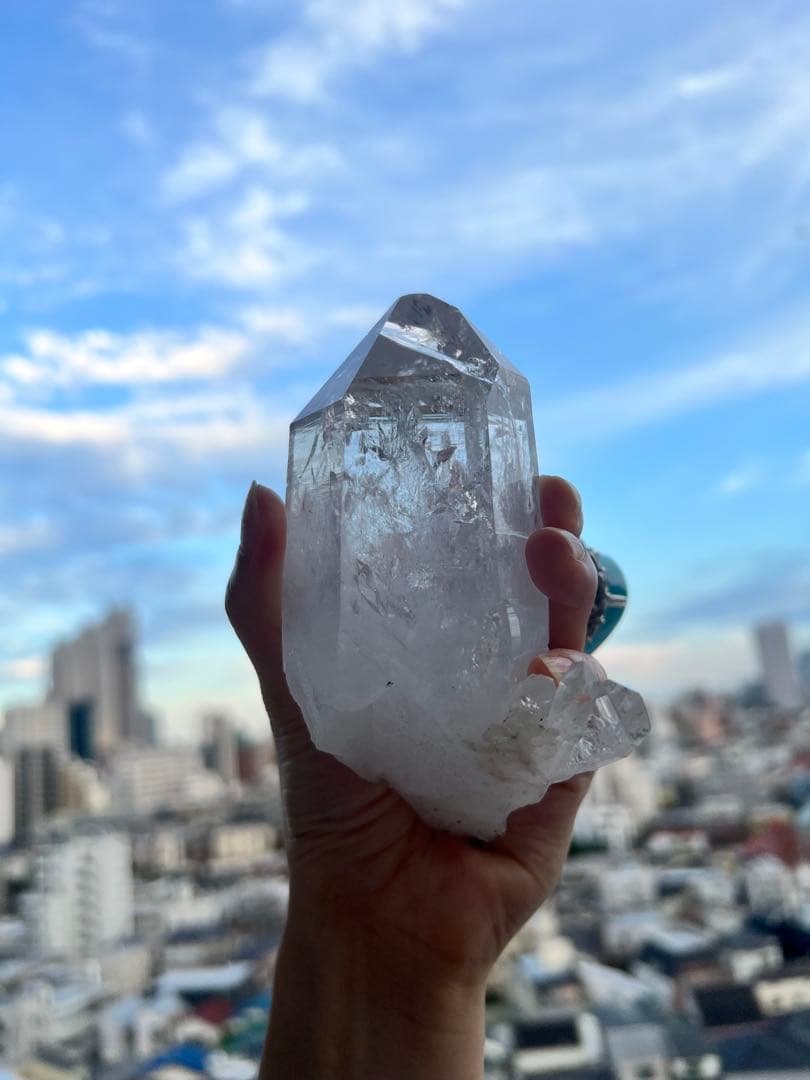 美✨超希少✨AAAAA 特大 コロンビアレムリアン✨my collection✨