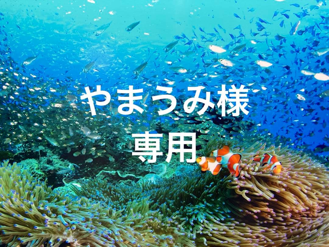 エンビロンCクエンストーナー　クリームプラス