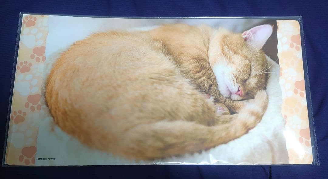 ブロッコリートレカアイテムくじEX「猫これくしょん」　D賞 E賞 ラストセット