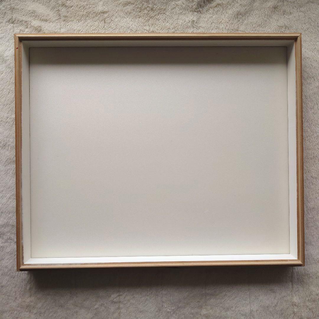 む*ー様 中野製作所　大型ドイツ箱　標本箱　中古　約42×51×6　⑤