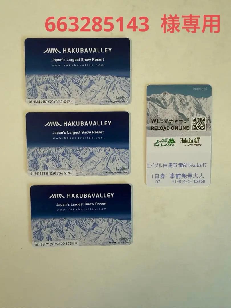 白馬47 ・エイブル白馬五竜 1日券 大人用