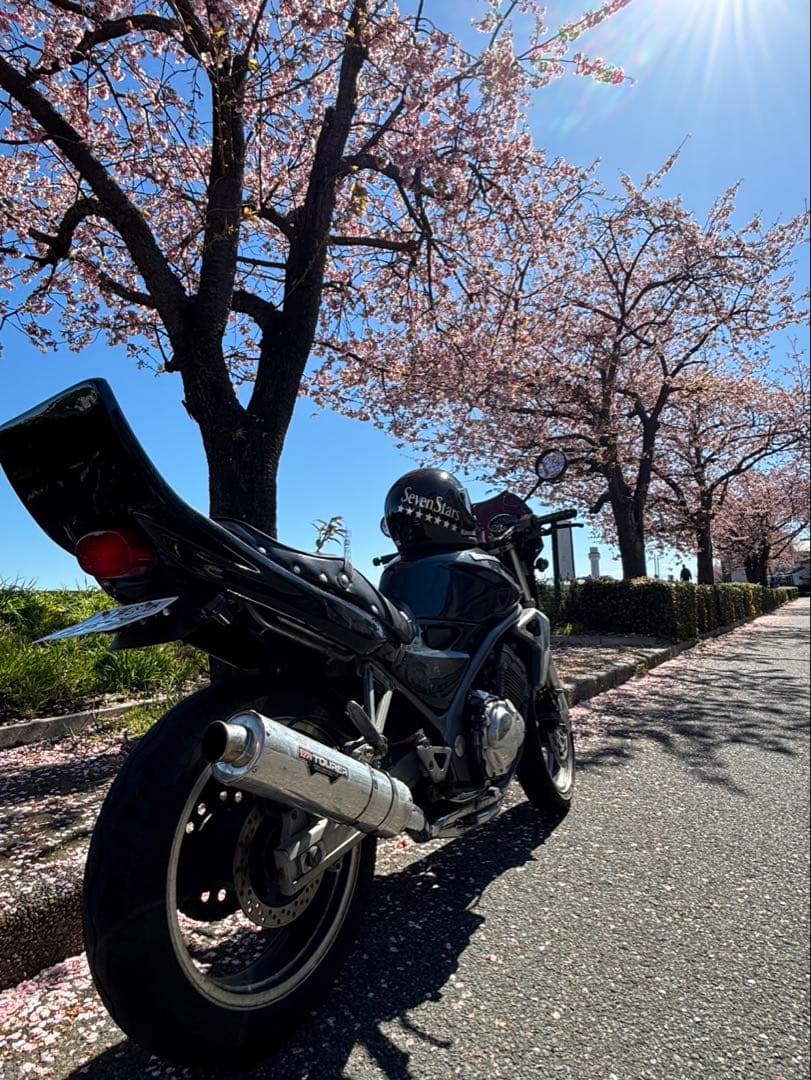 バリオスⅠ型　ロングテール塗装済