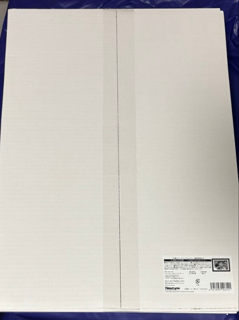 文豪ストレイドッグス カラー複製原画 D 春河35