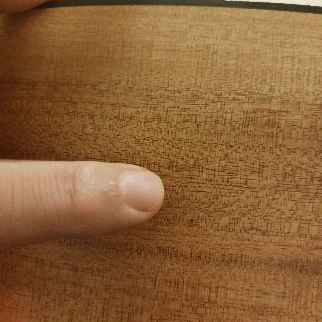 Cole Clark FL2AC　アコースティックギター