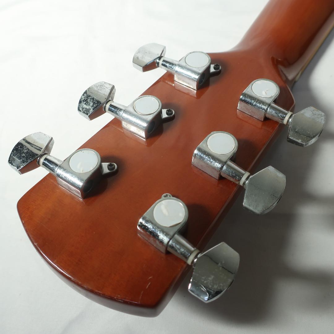 Corbin Woodville CVG93SBCE エレアコ ハードケース付