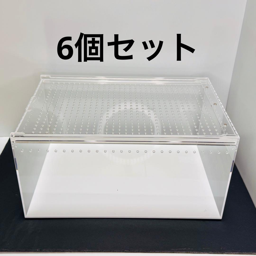 【新品】 爬虫類 両生類 アクリル飼育ケージ 30×20×15cm 6個セット