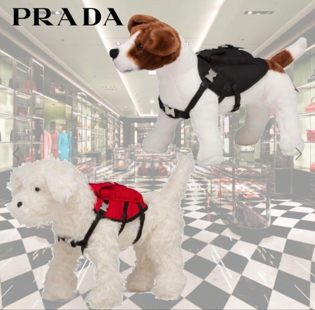 おさかなページ ペット用リュック、リードセット