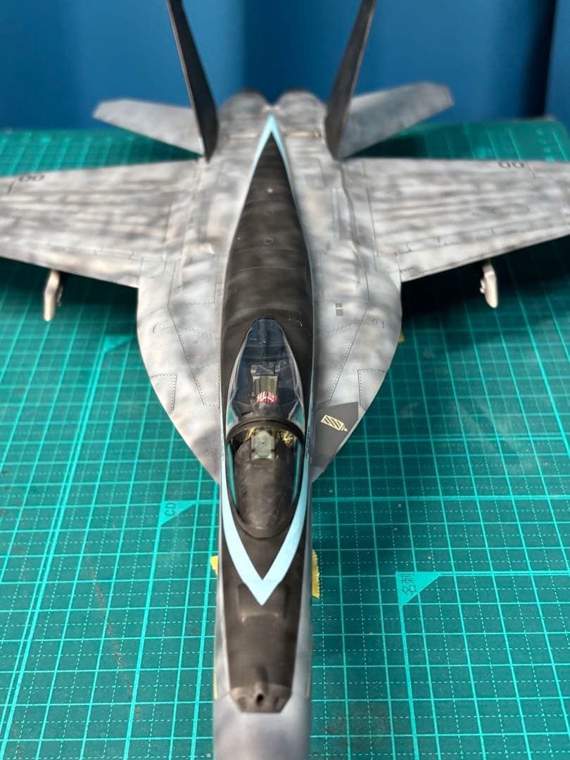 戦闘機　プラモデル　完成品　ハセガワ　1/48 F/A18-E