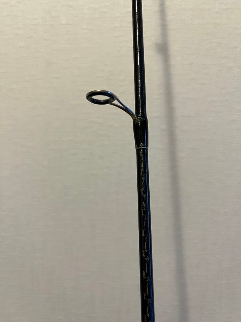 ポイズン　グロリアス　ロッド2本セット