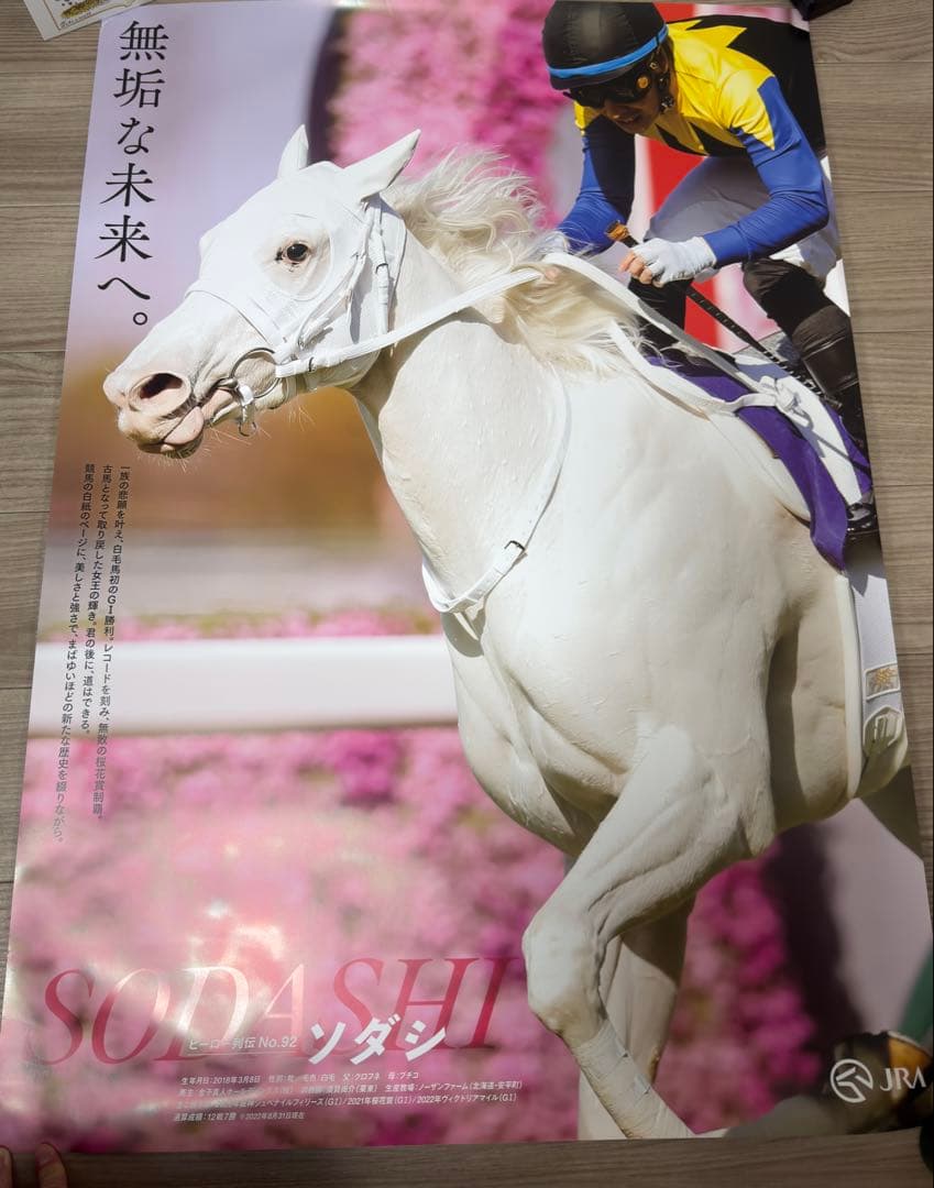 ヒーロー列伝 ソダシ ポスターB1サイズ