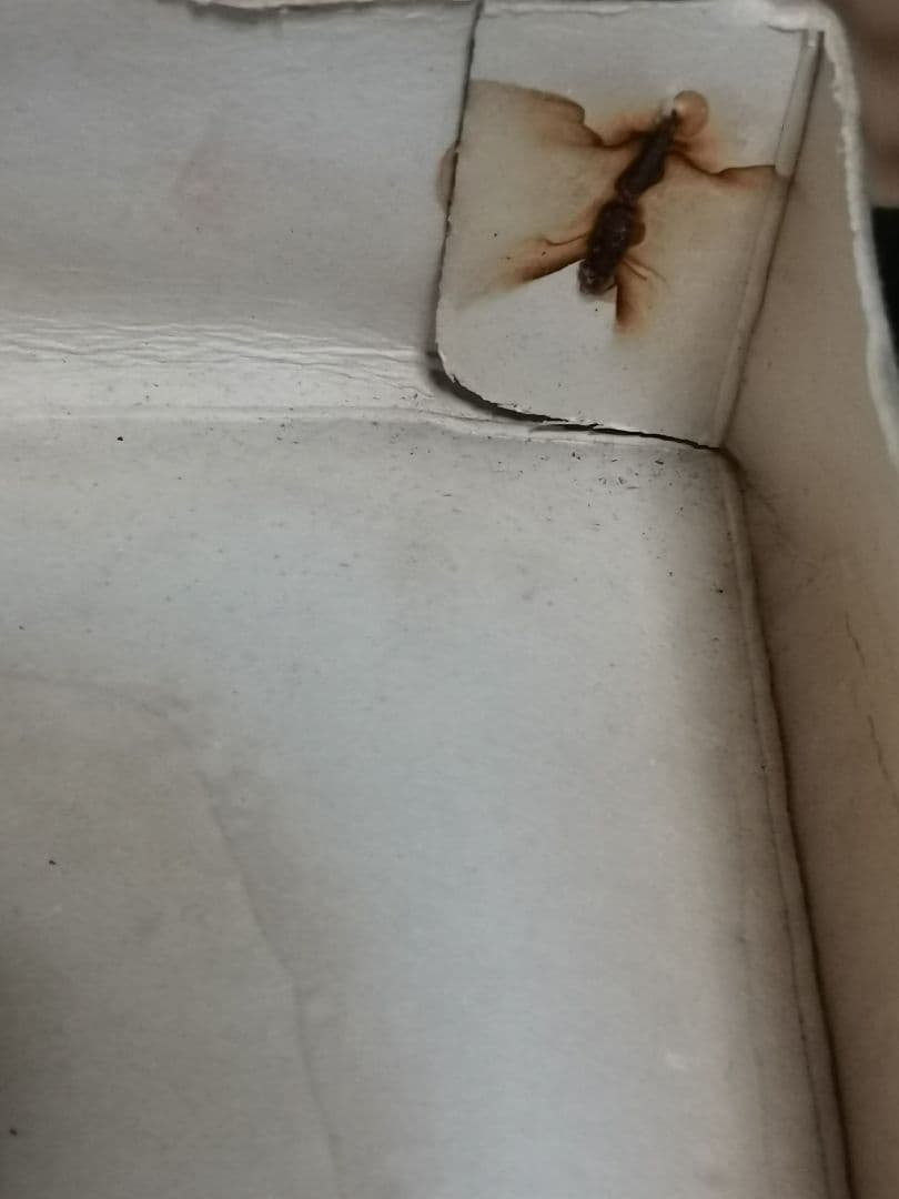 赤胴鈴之助 動くマンガシリーズ 緑商会 プラモデル 1960年代　未組立