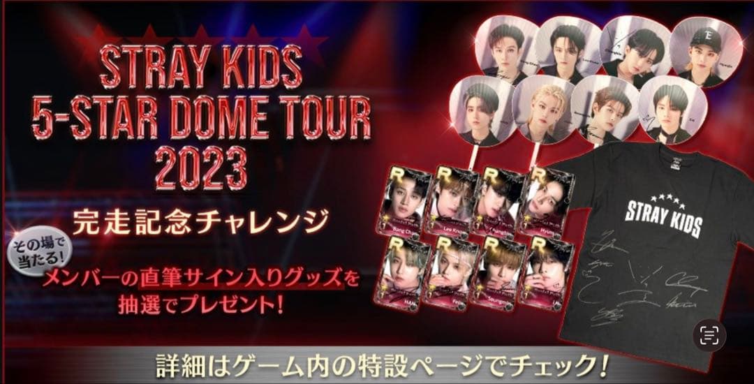 Stray Kids スンミン 直筆サイン うちわ 5-STARドームツアー