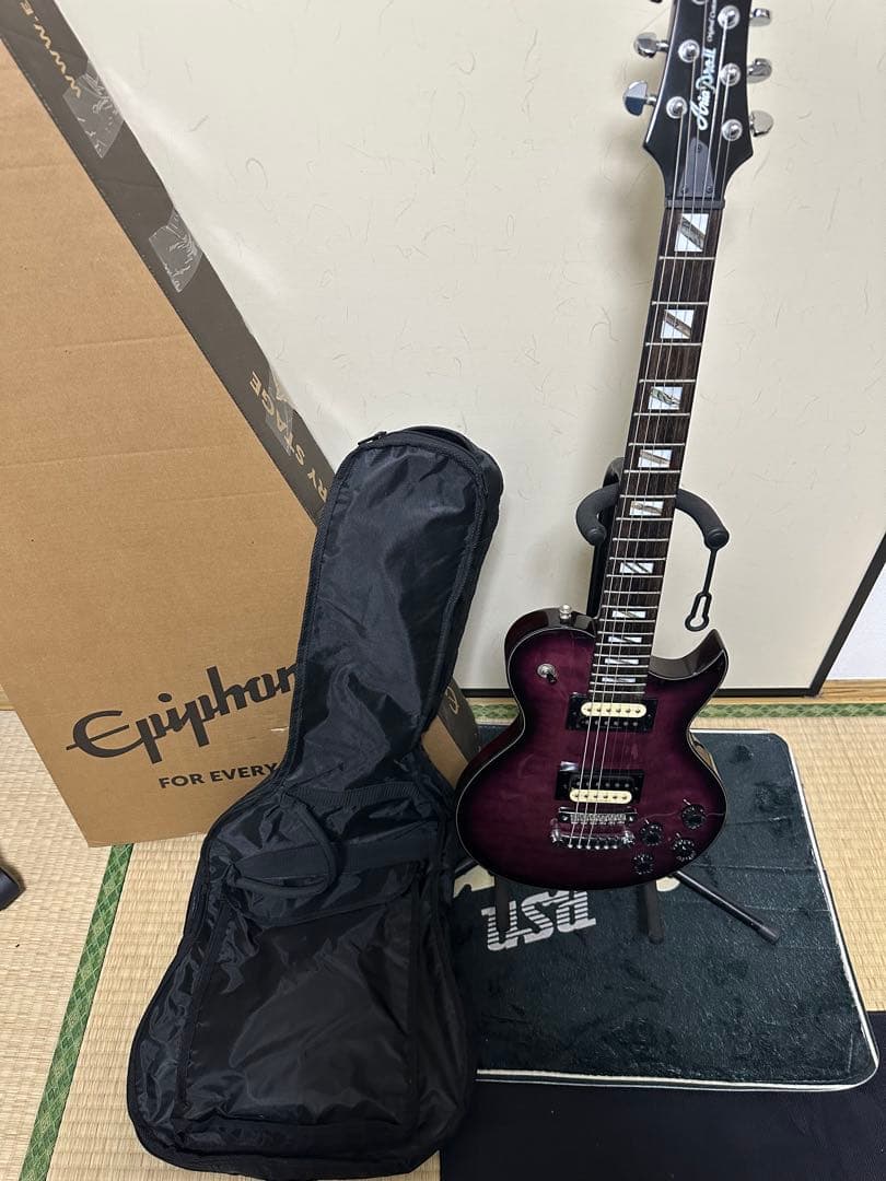 Aria pro ii Duncan Designed搭載パープルエレキギター