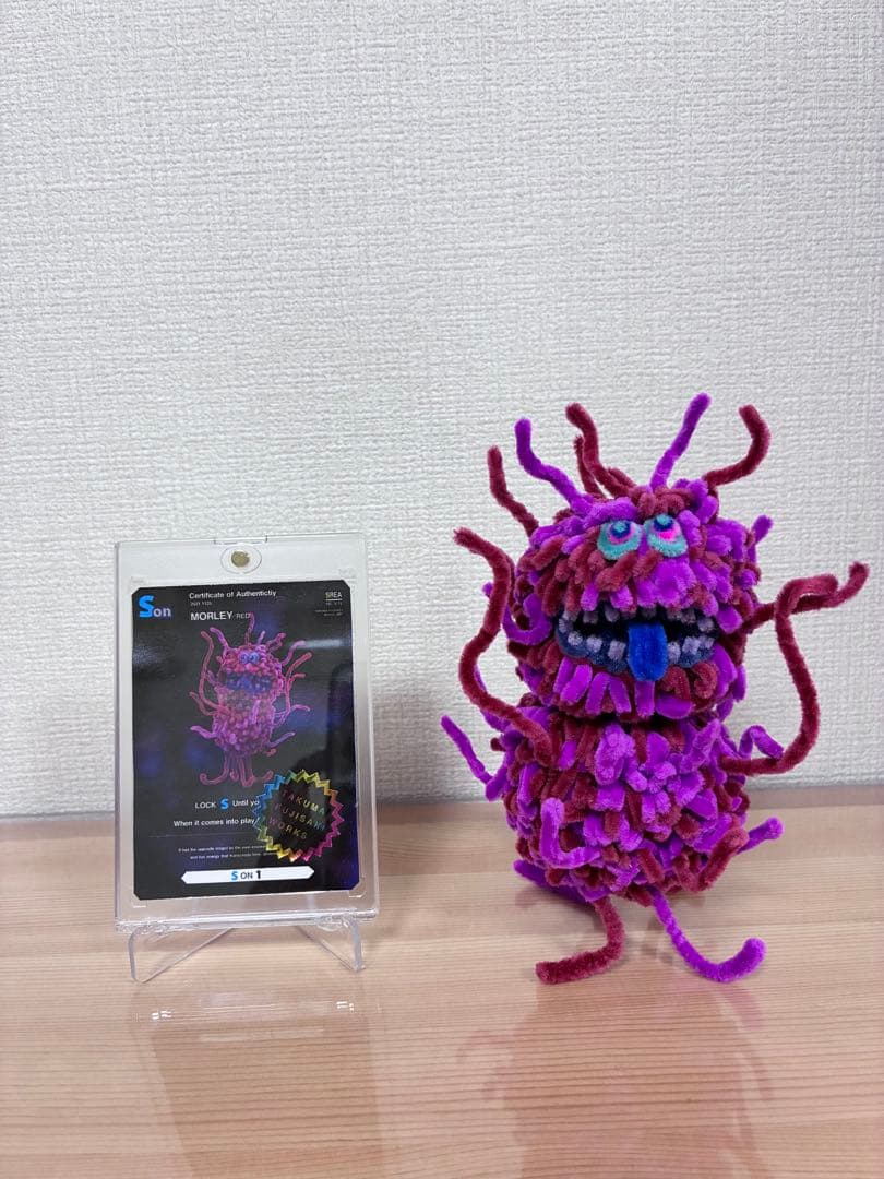 け*ん様 Morley モーリー　フジサキタクマ　モールアート