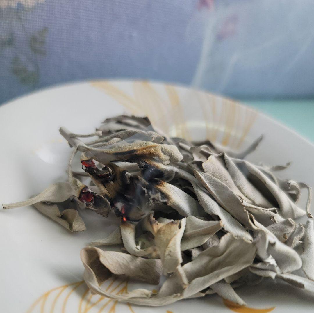 セール☆無農薬ホワイトセージ枝無しリーフ1kg箱入りお香浄化業務用価額お得