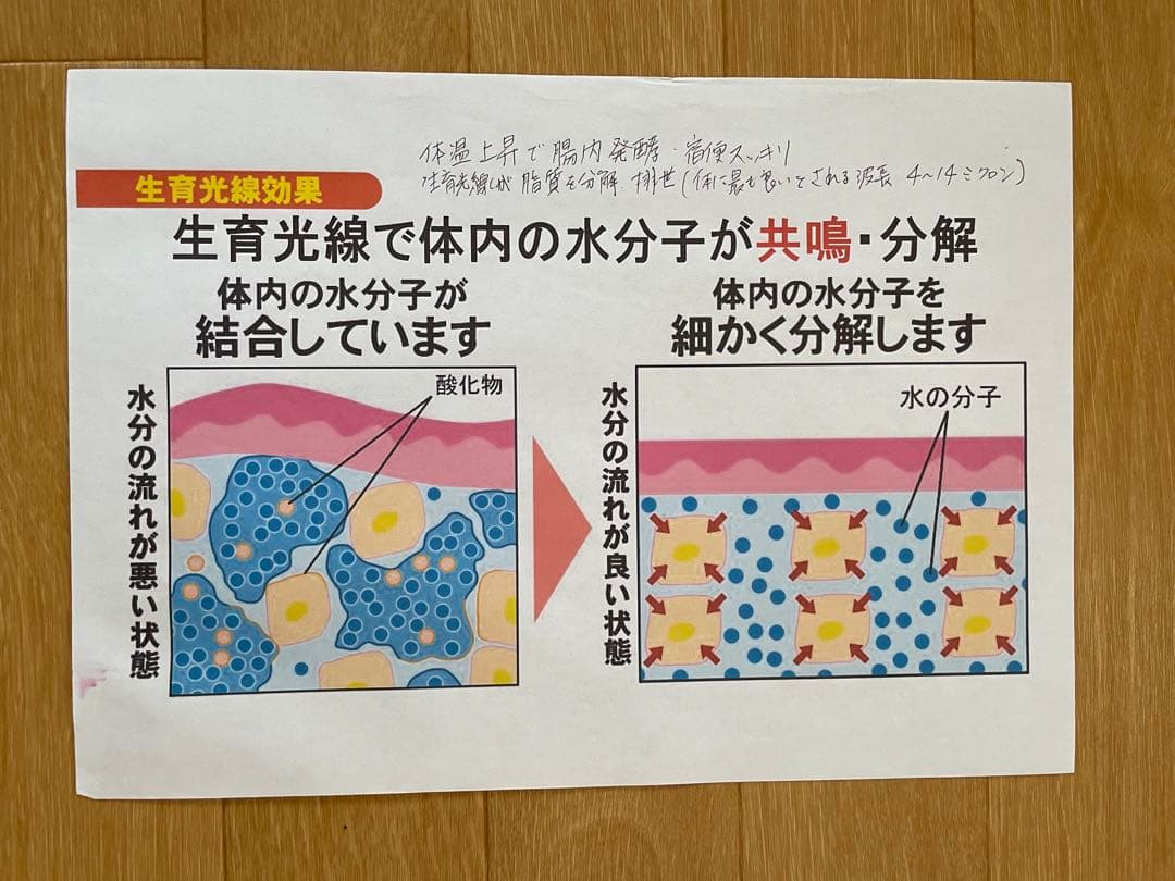 ホルミシスザブティマット 遠赤外線 値下げします！