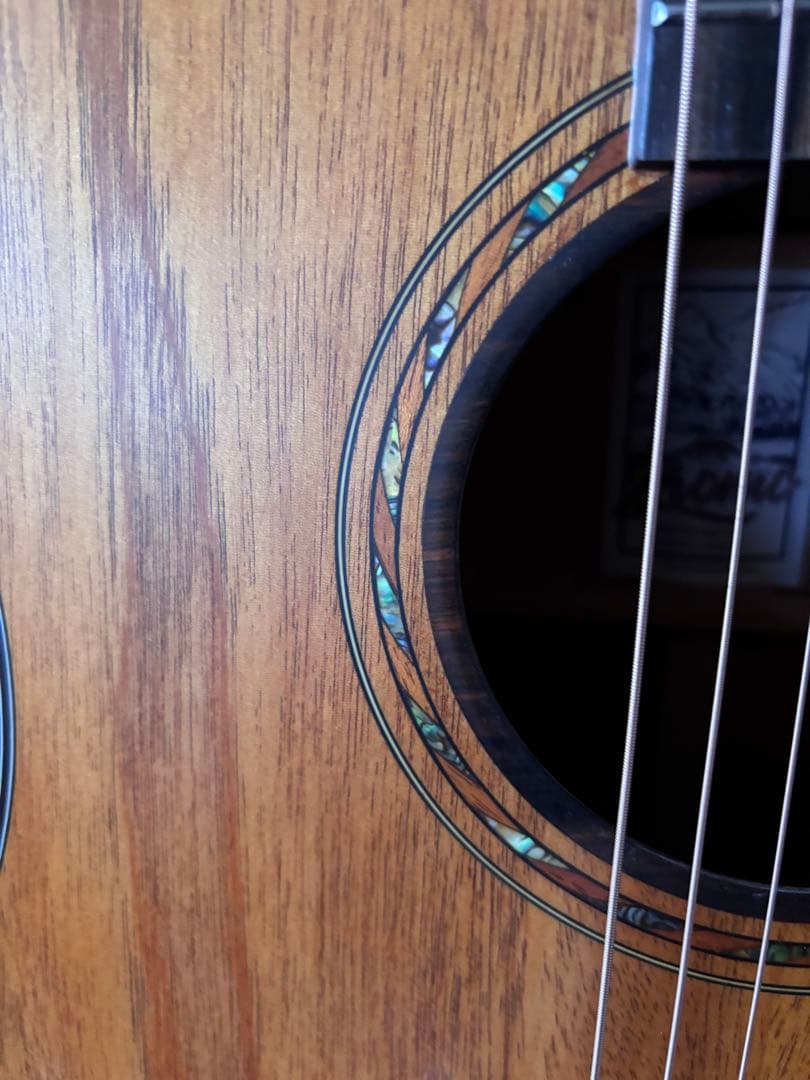 トップ単板 オールマホガニー　Bromo BAT1M ドレッドサイズ