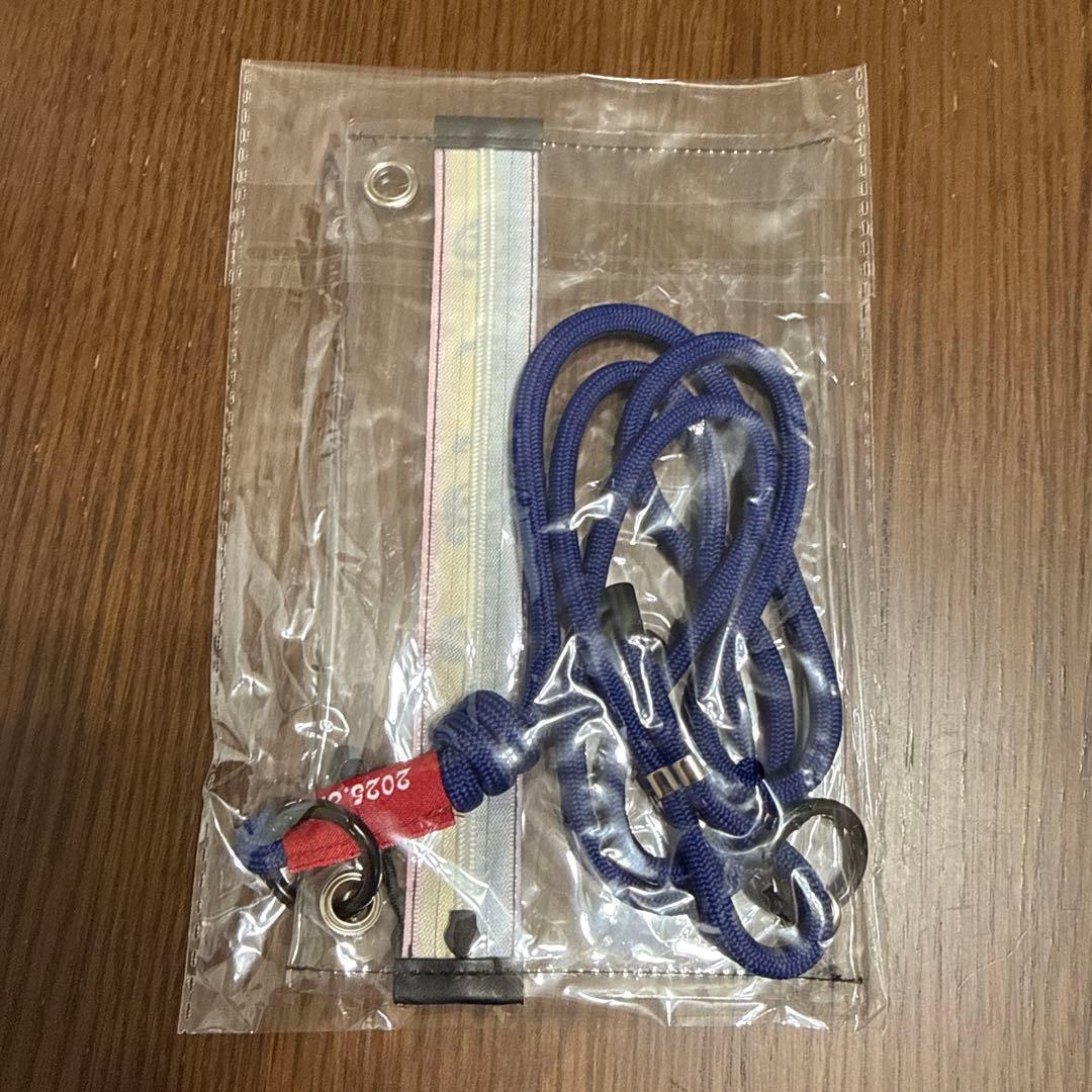 ALFEE 夏イベグッズ　まとめ売り