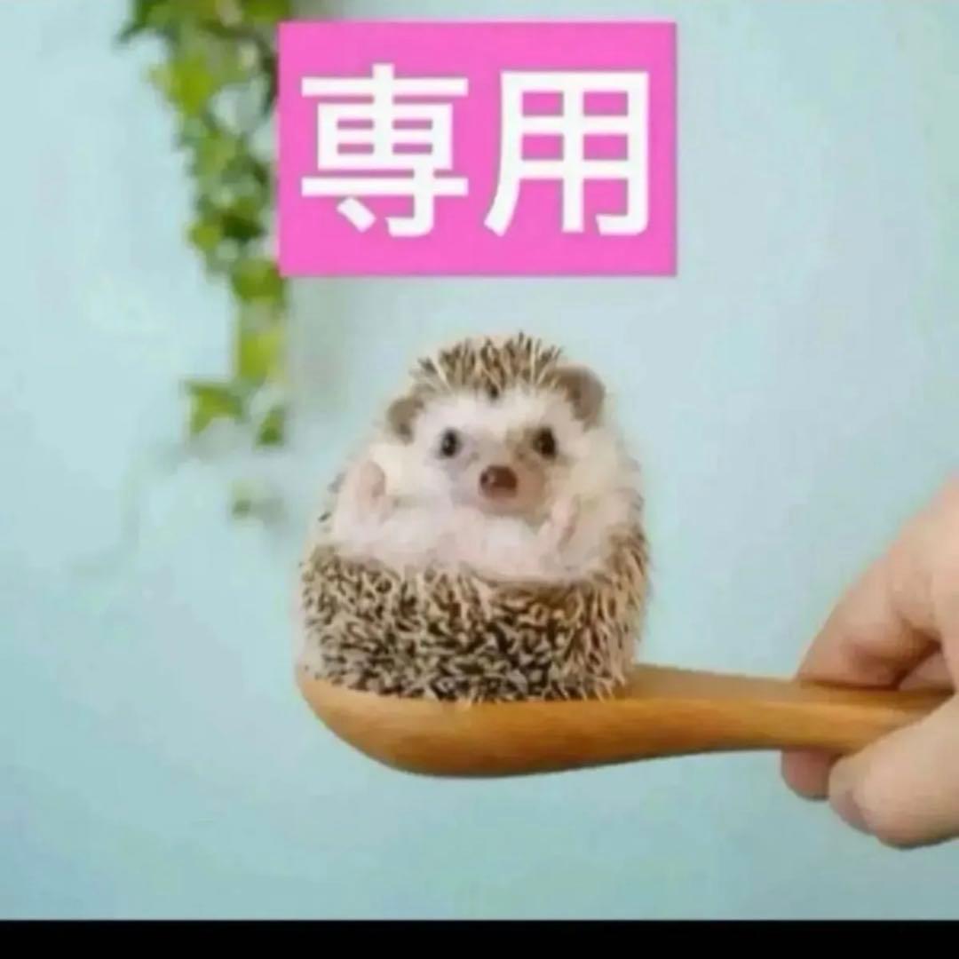 3点、サクラ、ディオリビエラ、グリディオール