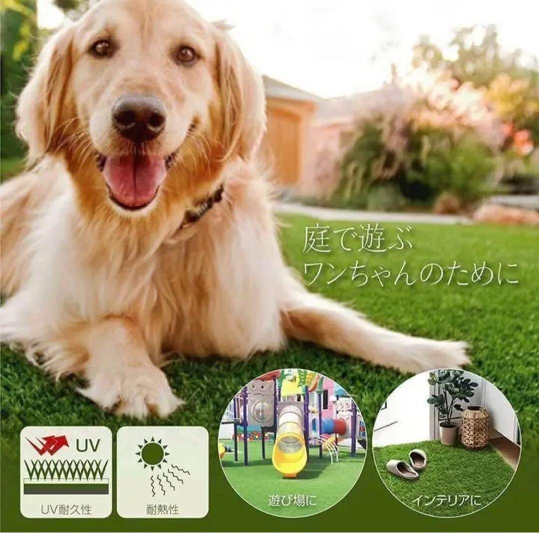 人工芝 2m×10m ロール 庭 芝丈35mm 芝生 密度2倍 高耐久固定ピン付