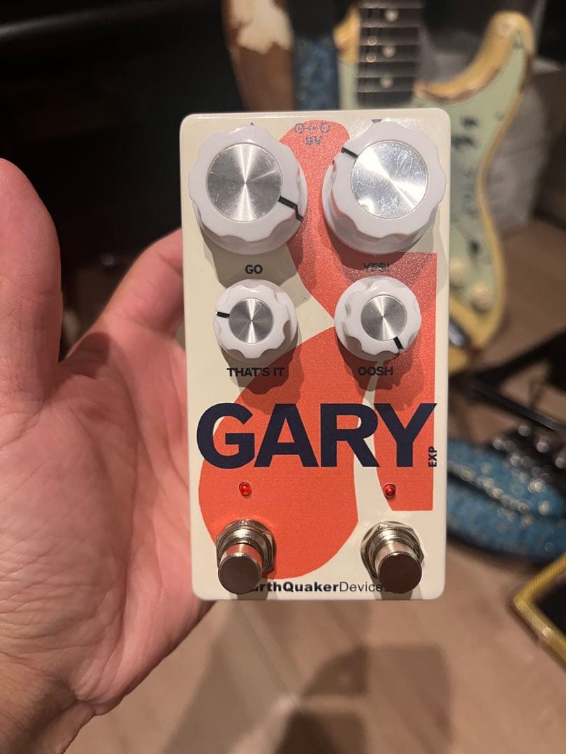 ギター EarthQuaker Devices GARY