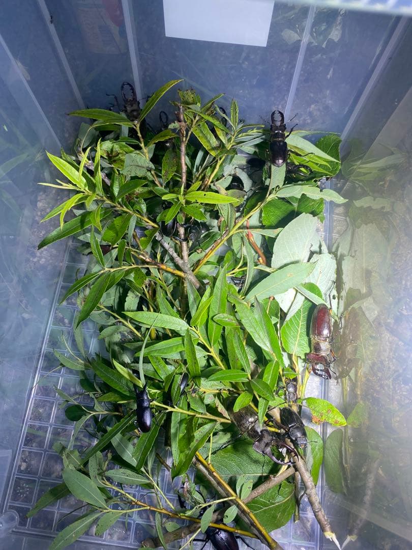 GO様 爆光 新品 強力 HID7インチ 100.110W2台専用