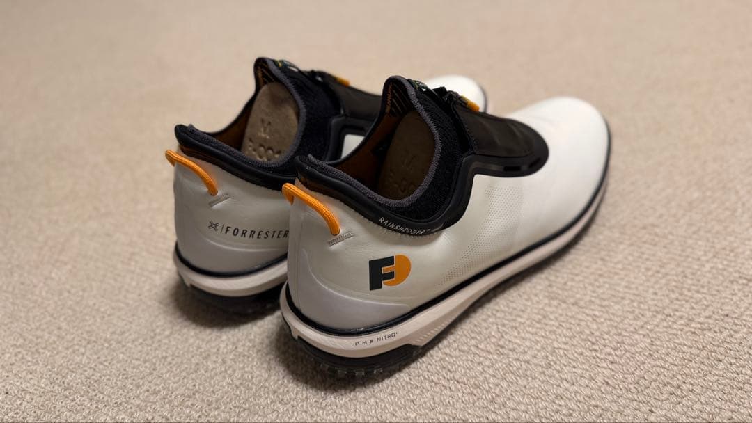 PAYNTR GOLF Rainshedder ゴルフシューズ