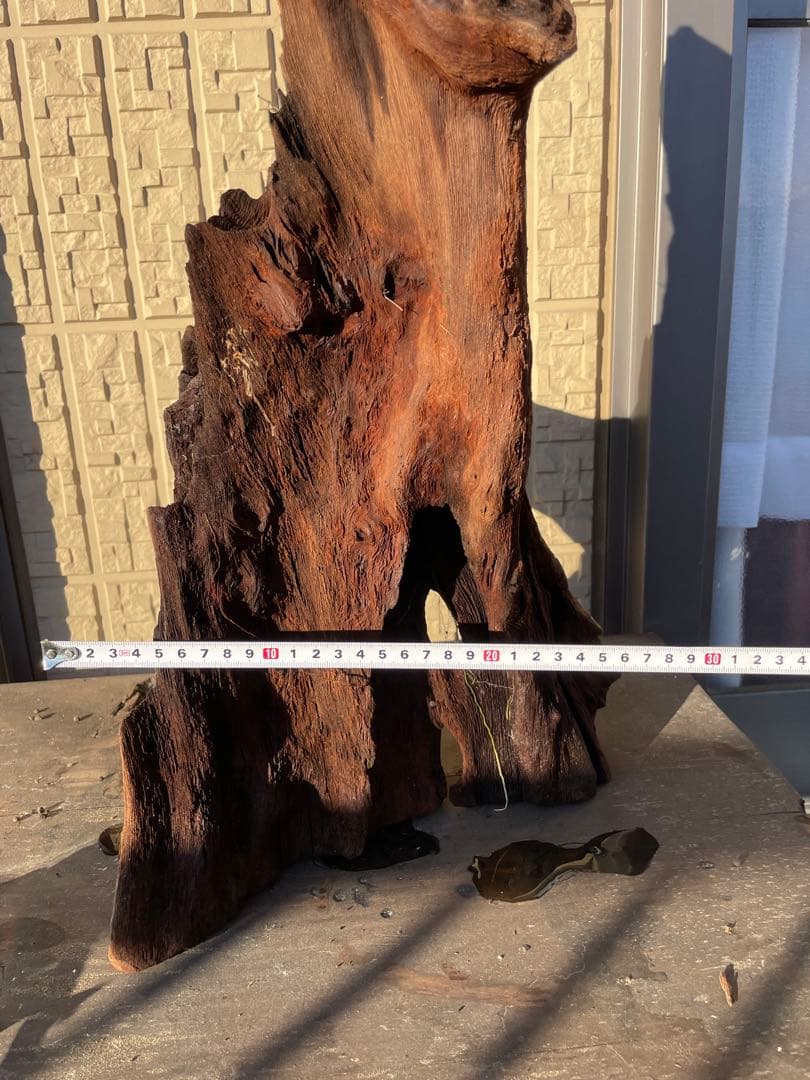 流木 高さ約52cm 自然な形状 ダークブラウン