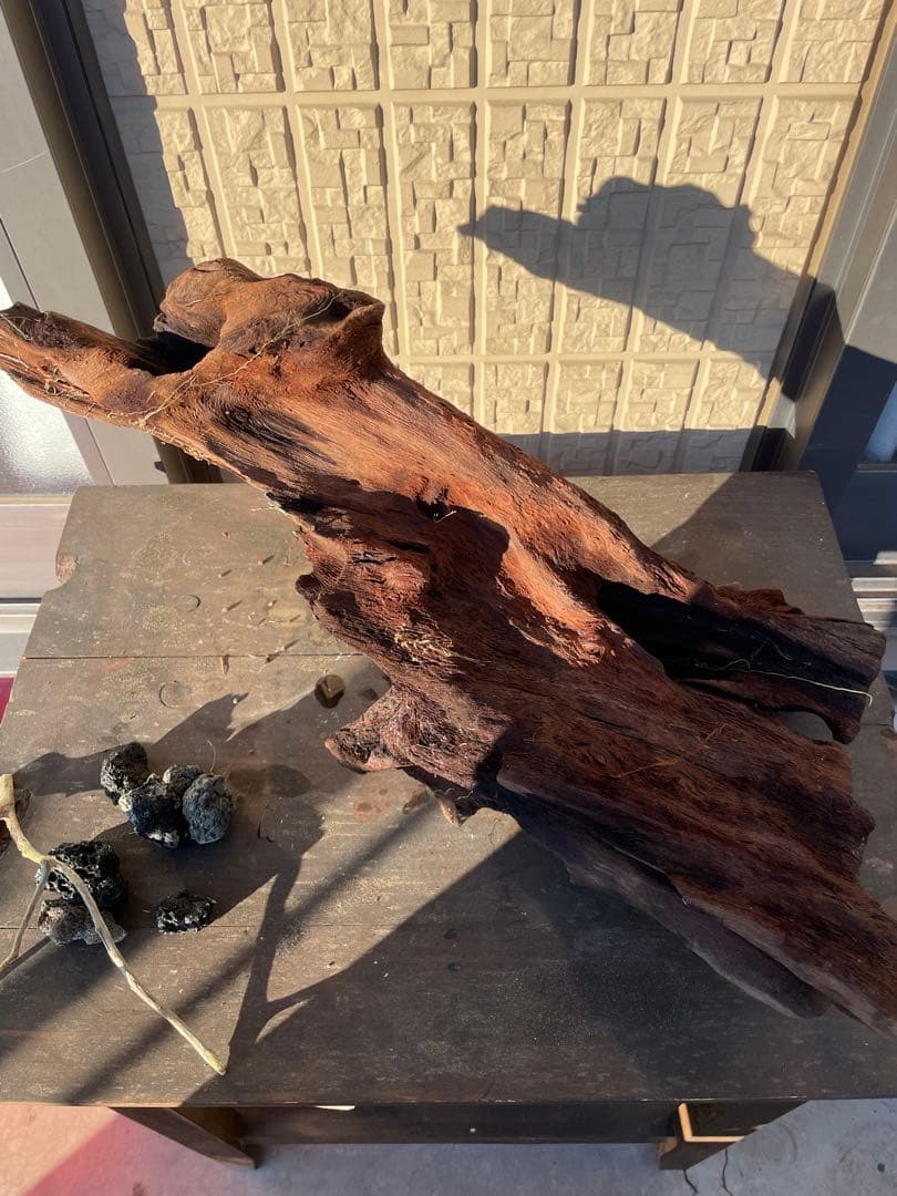 流木 高さ約52cm 自然な形状 ダークブラウン